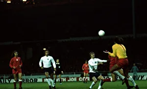 World Cup Qualifier at Wembley Stadium England 1 v Poland 1 Polish goalkeeper
