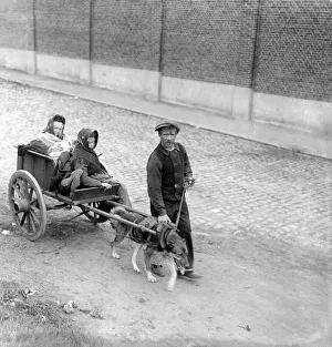 World War I An old Belgian woman in cart drawn by a dog Circa 1914