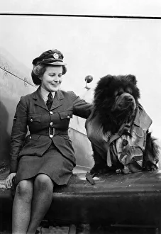 World war II Women: Meet W. A. A. F. Dixie Ford and the R. A. F. mascot Kupee