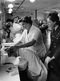 Hairdressers Prints: World War II Women. W. A. A. F