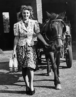 World War II Women. Woman milkman doing the rounds with her horse and cart