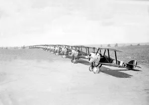 Conflict And Peace Prints: World War One line up of Sopwith Camels of 203 Canadian Squadron at Izel-le-Hameau