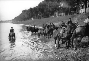 00165 Prints: World War One. Soldiers watering artilery carriage horses Circa 1916