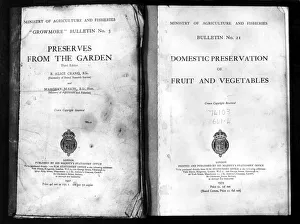 World War Two - Second World War - In 1939 the government distributed leaflets on how