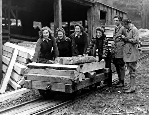 World War Two - Second World War - Girls of the Callay Sawmills have another load of pit