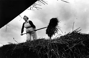 Harvest Prints: World War Two - Second World War - Former Land Army and Timber Girls
