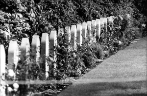 D Day Prints: World War Two - Second World War - Operation Market Garden - Polish war graves in