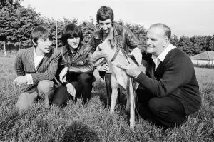 The worlds fastest greyhound and favourite for the greyhound derby Yellow Printer