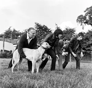 The worlds fastest greyhound and favourite for the greyhound derby Yellow Printer