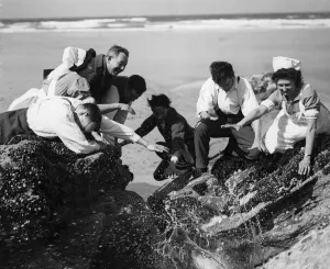 01465 Prints: Wounded fighting men enjoying a trip to the seaside as part of their recuperation