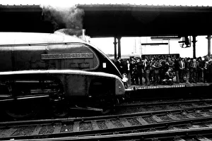 Wowing the platform crowd at Newcastle Central station is Gresley streamlined A4 pacific