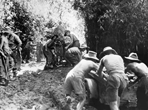 Struggle Prints: WW2 Jeeps and trailers of an assault field regiment in 36th Division