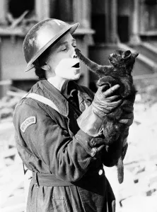 WW2 October 1940 A lady member of the London Auxilliary Ambulance Service