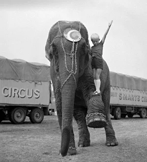 00170 Prints: Five year old Guy Davies has one ambition in life-to work with elephants in Billy
