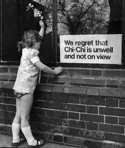 Five year old Linda Christine McMullan from the Pakeman Primary School, Hornsey Road, N