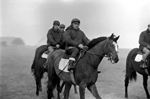 Yearling Ribchester'son of the famous Ribot