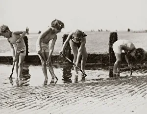 00055 Prints: Young children looking for crabs and other beach life hiding in the sands on the beach