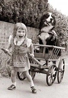 Size Prints: A young girl laughs out loud as she tried to pull a cart with a large dog sitting in it