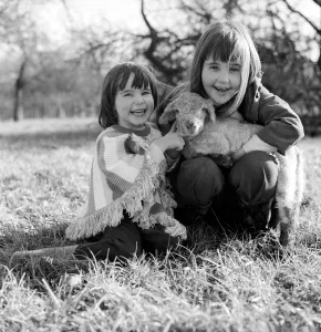 Lamb Prints: Young girls with spring lambs in Kent. January 1975 75-00492-002