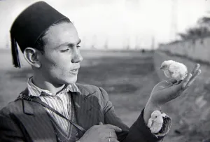 Core80 Prints: A young man of Egypt wearing a fez, holding chicks in his hand Circa 1935