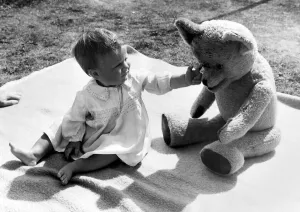 Teddy Bears Prints: Young toddler playingwith teddy bear in the back garden of his home in Erith, Kent