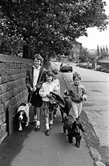 00658 Collection: These youngsters decided take the dogs for a walk-for cash