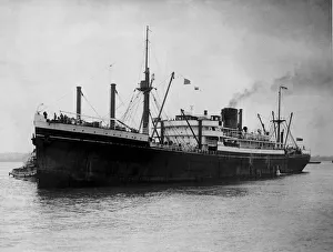 Marine Prints: Zealandia also known as S. S. Zealandia and nicknamed Z'(or Zed