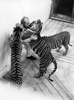 Kiss Prints: Zoo owner John Aspinall is well known for his fearless escapades with his pet tigers