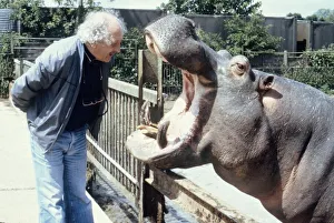 Zoo vet David Taylor checks the teeth of hippo Ben at Chessington Zoo May 1983