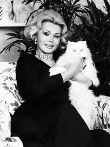 Zsa Zsa Gabor Actress sitting holding a white persian pussy cat dbase msi